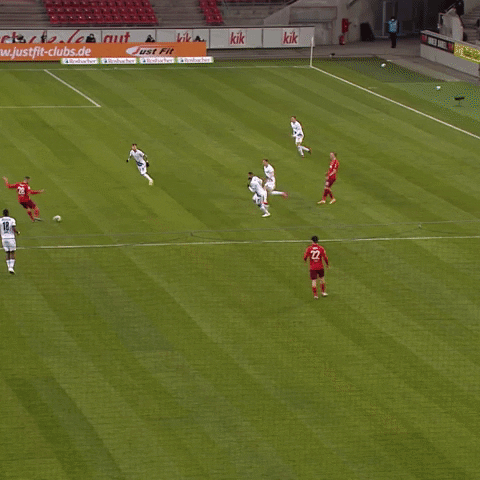 1 Fc Cologne Football GIF by 1. FC Köln
