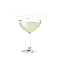 Rum Do What Moves You Sticker by Bacardi