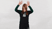 FDN_Sports hu huntington university hu volleyball forester volleyball GIF