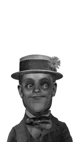 hat wtf Sticker by Colin Raff
