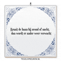Humor Nl GIF by Tegelspreuken.nl