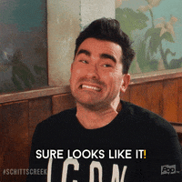 GIF by Schitt's Creek