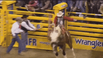 Horse Cowboy GIF by Tarleton State University