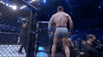 Sport Mma GIF by UFC