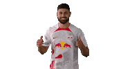 Happy Football Sticker by RB Leipzig