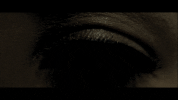 music video nasa GIF by Sub Pop Records