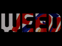 Art Glitch GIF