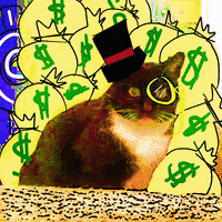 Get Rich Cat GIF by Empress Trash