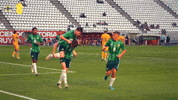 Football Gawa GIF by Northern Ireland