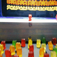 JustCBD live concert cbd stayhome GIF