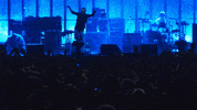 Dancing Excited GIF by Coachella