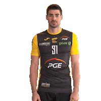 Belchatow Sticker by PGE Skra Bełchatów