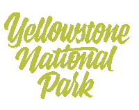 Go Outside National Park Sticker by YellowstoneForever