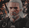 witcher GIF