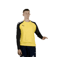 France Thank You Sticker by Montpellier Handball