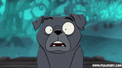 Shocked Double Take GIF by Pugatory