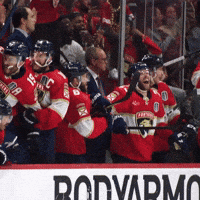 Excited Stanley Cup GIF by Florida Panthers