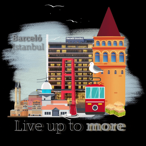 Istanbul Barcelo GIF by Barceló Hotel Group Turkiye