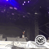 big grams governors ball GIF by GOVBALL NYC