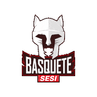 sesisaopaulo esporte jogo basquete torcida Sticker