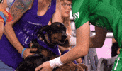 Womens Soccer Dog GIF by National Women's Soccer League