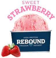 ReboundFrozenDessert food cool summer yummy Sticker