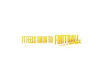 Football Sport Sticker by NFL