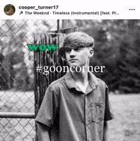 bradydrivesfast aura vlogger ctv cooperturner GIF