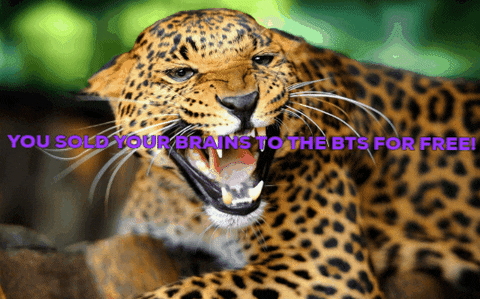 shawnfff giphygifmaker giphygifmakermobile GIF