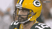 Regular Season Smh GIF by NFL