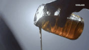 viceland GIF by BEERLAND