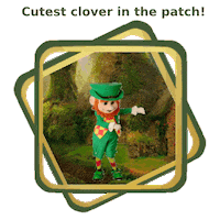 St Patricks Day Fantasy GIF