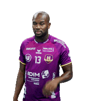 HBCNantes handball h nantes lidlstarligue Sticker