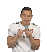 Major League Soccer Sport Sticker by realsaltlake