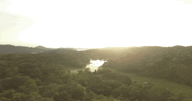 reading rainbow lol GIF by LeVar Burton Kids