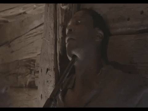 jjamitis minty tubman GIF