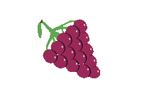 Grape Vine Fruit Sticker