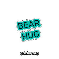 Bear Hug Sticker by grizlor
