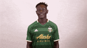 portland timbers applause GIF by Timbers