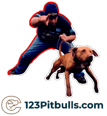 Pitbull Apbt Sticker by Chico Lopez
