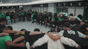 Football Soccer GIF by Sporting CP