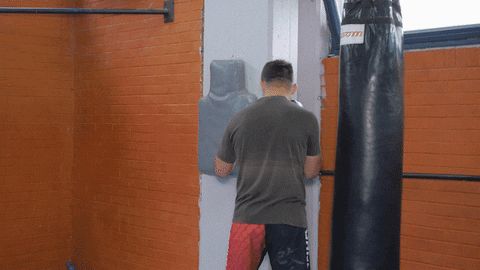 MMAcoach79 giphyupload ufc 241 mma training ufc training GIF