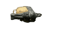 FISHSTONE zip bleifrei fishstone fishyfishstone Sticker