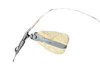 FISHSTONE loop steine bleifrei fishstone Sticker
