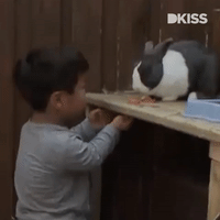 GIF by DKISS