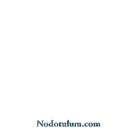 nodotulumcom phrase tulum real state riviera maya Sticker