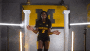 Tigers Missouri GIF by Mizzou Athletics