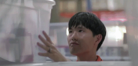 UrbanFoxAsia giphygifmaker GIF