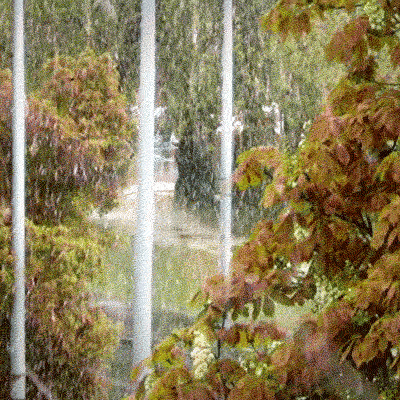 Art Design GIF
