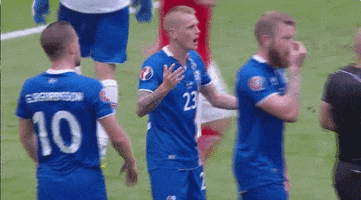 euro 2016 GIF by Sporza